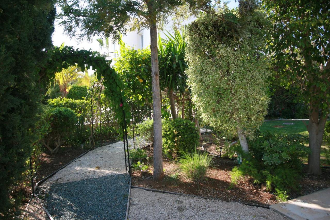 Beach Villa Sofia Neo Chorio Dış mekan fotoğraf