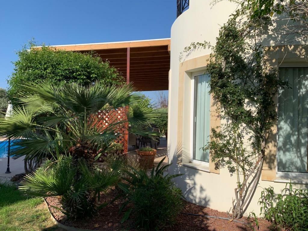 Beach Villa Sofia Neo Chorio Dış mekan fotoğraf